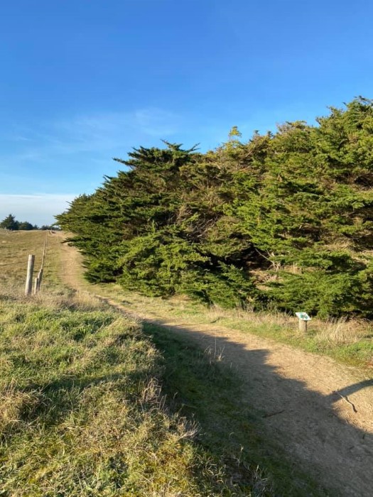 camping avec accès plage et piscine chauffée vendée