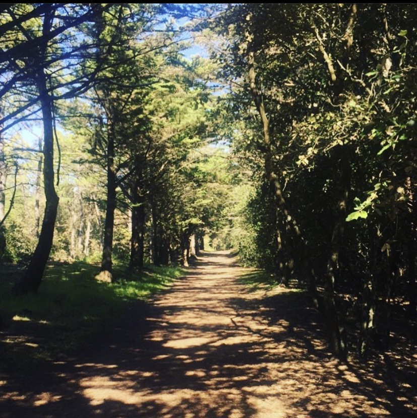 petit camping pres de la foret de saint jean de monts